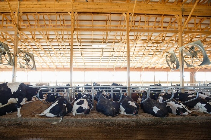 barn fans