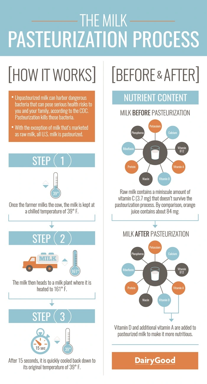 The milk pasteurization process